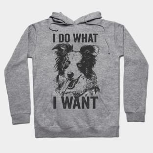 Border Collie Funny Dog I Do What I Want Hoodie